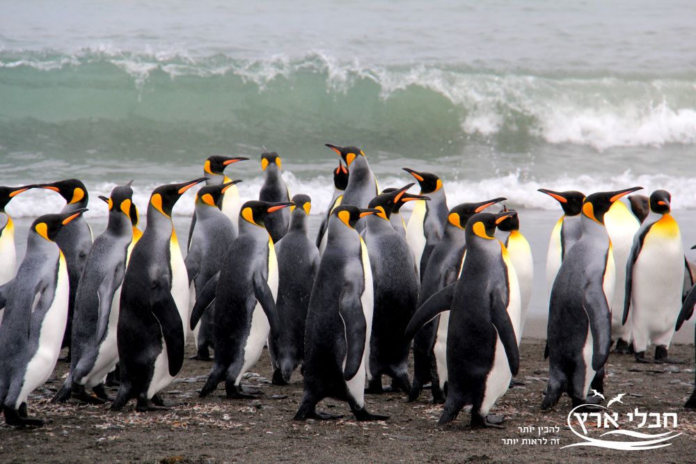 אנטרקטיקה | חבלי ארץ