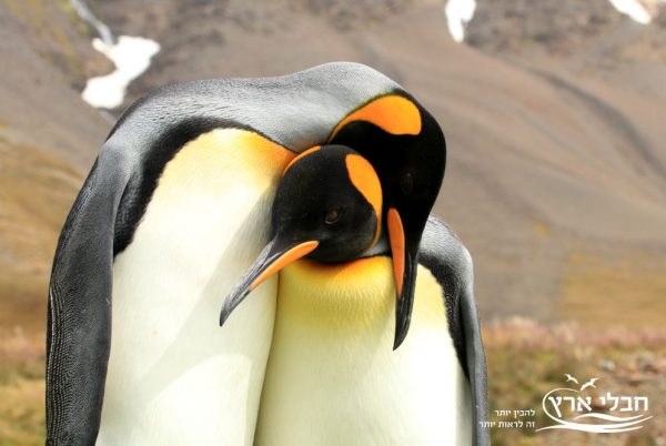 אנטרקטיקה | חבלי ארץ