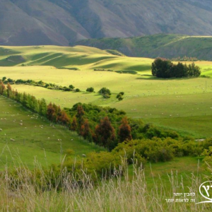 ניו זילנד | חבלי ארץ