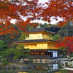 שלכת ביפן | חבלי ארץ