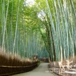 יפן | חבלי ארץ